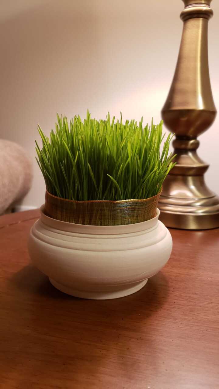 Sprout Vessel, 2025, To confirm